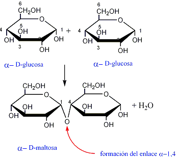 estructura de la celobiosa