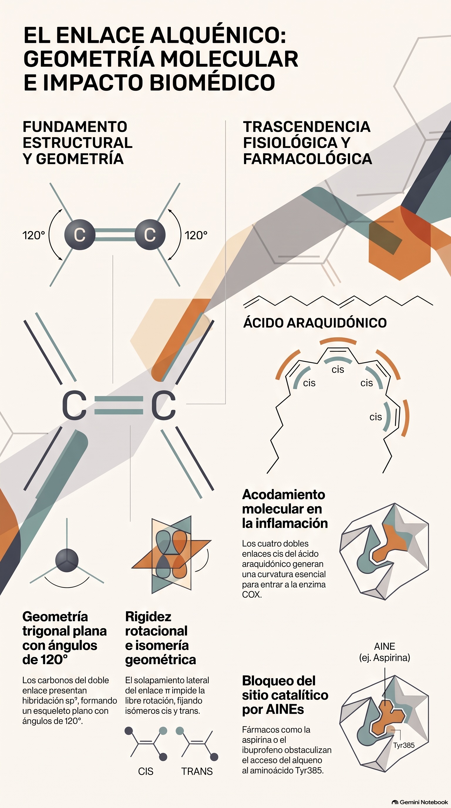 Infografía de Alquenos