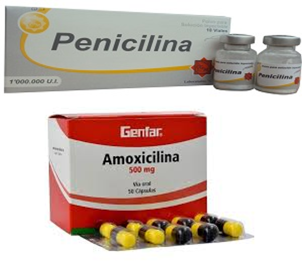 Suspensión de Amoxicilina