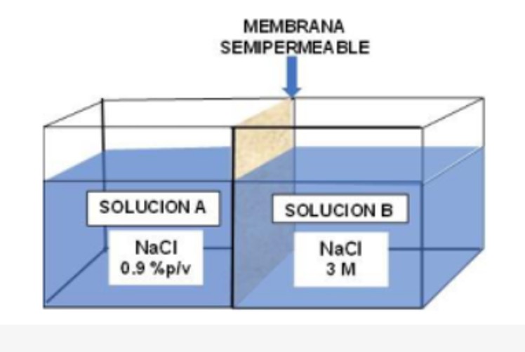 Sistema 2 con membrana semipermeable
